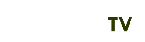 lan quế phường 3